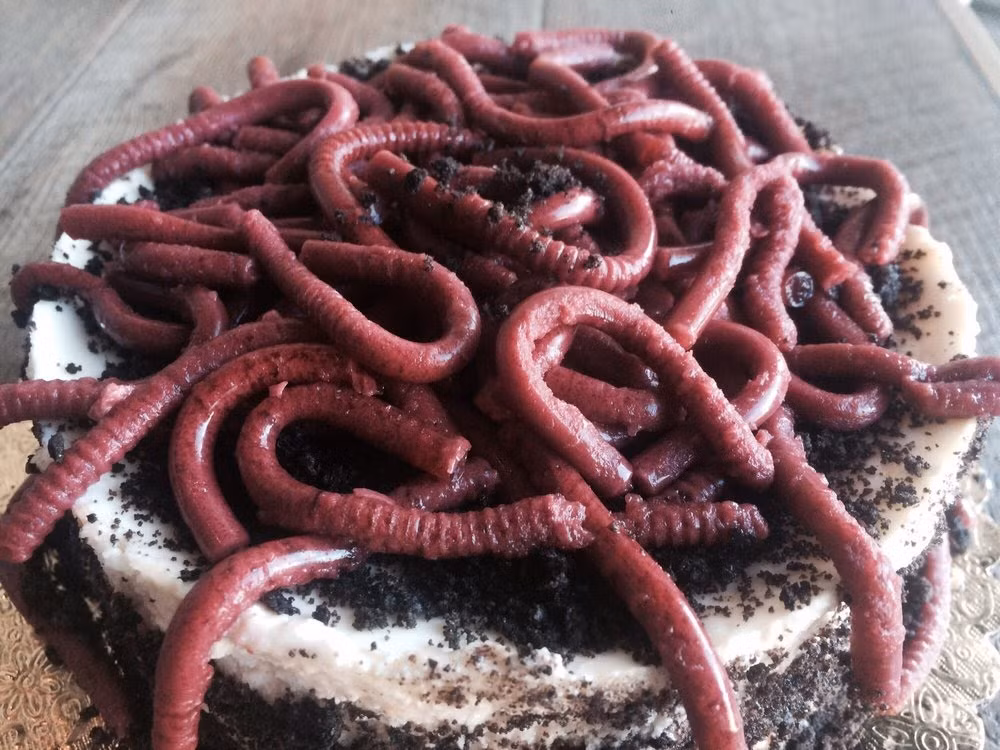 Dù là món ăn kinh dị nhưng nó lại được rất nhiều người ưa thích vì hương vị lạ. Ảnh: Đi đâu ăn gì.