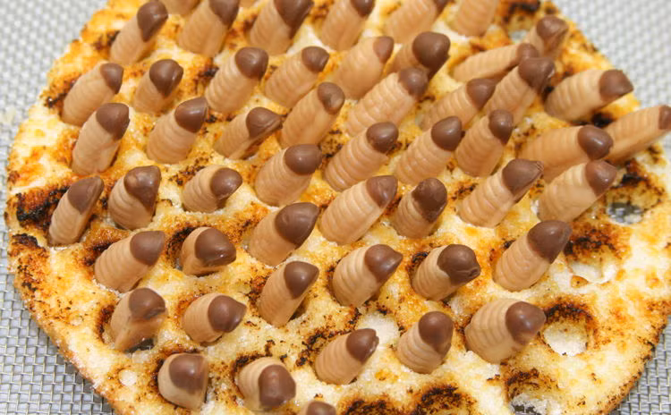 Bánh pizza giòi thử thách người gan dạ. Ảnh: Pinterest.