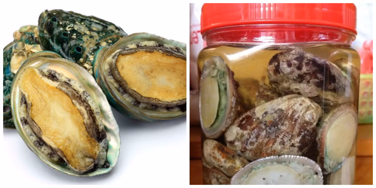 Rượu bào ngư giúp bổ dương ích khí cho các đấng mày râu.