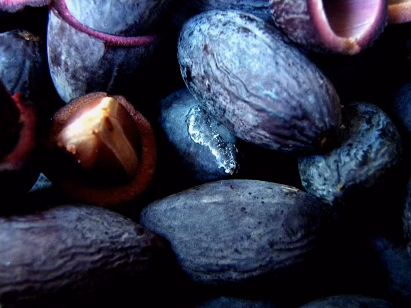  Món trám: Trước đây trám là món ăn Việt dân dã thường được người Việt kho mặn để ăn kèm cùng cơm trắng, thay thức ăn mặn. Ảnh: Quê việt.