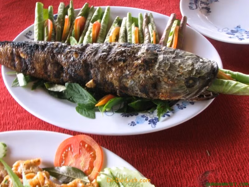 Hãy cùng Khỏe Plus 24h khám phá những đặc sản Việt nổi danh ngon tuyệt dọc chiều dài đất nước.