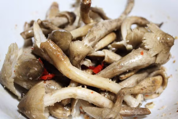 Nấm mối có rất nhiều ở những cánh rừng cao su ở Đồng Nai. Loại nấm này có thể chế ra rất nhiều món ăn ngon khó cưỡng.