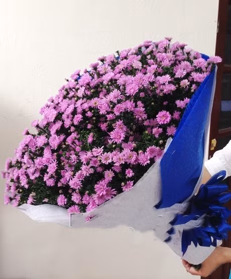 Với hai màu tím, trắng là chỉ đạo những bó hoa thạch thảo lớn nhưng đủ tinh tế và ngọt ngào để chinh phục các nàng.