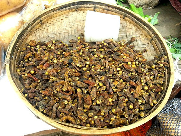 Ngoài ra, sâu Mopane vẫn có thể nấu theo nhiều cách khác nhau, ví dụ như trộn với nước sốt bơ cay hoặc sốt đậu phộng. Ảnh: zimbabwevoice.