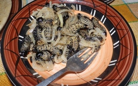 Sau đó, người ta chế biến bằng cách luộc chín trong nước muối rồi phơi nắng hoặc hun khói để tăng mùi vị. Ảnh: dantri.