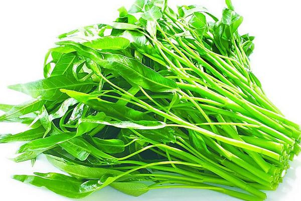 Khi rau muống thu hoạch, người ta thường hái phần non nhất. Sau đó phun thuốc trừ sâu sẽ khiến thuốc lỏng chảy vào trong ống rau đang rỗng. Nếu số lượng thuốc sâu tích trữ lại lớn, có thể gây nguy hiểm cho người sử dụng.