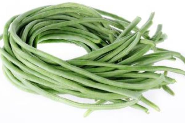 Đậu đũa hay có loại sâu đục thân, thuốc trừ sâu giảm phát huy hiệu quả. với loại sâu này. Vì vậy người trồng sẽ phải tăng lượng thuốc trừ sâu hoặc dùng loại có độc tính tương đối cao.