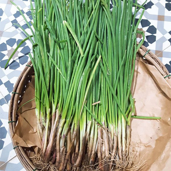 Trong hành lá có chứa pectin có thể làm giảm tỷ lệ mắc ung thư đại tràng và chứa quercitin có thể ngăn chặn sự phát triển của tế bào ung thư trong ruột kết. Ảnh: acfarmvn.