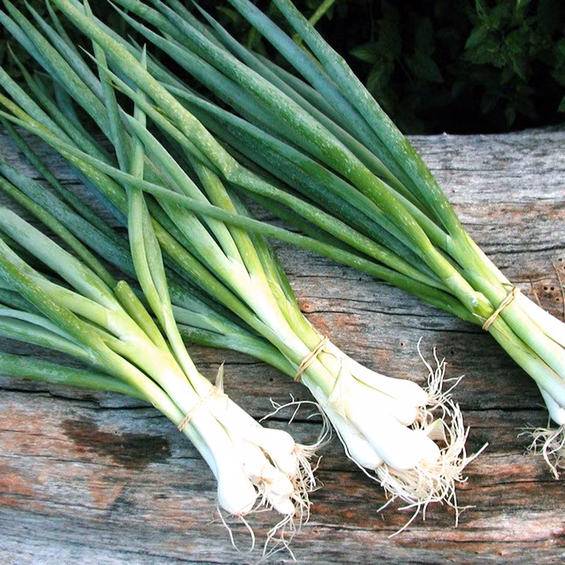 Hành lá có khả năng ngăn chặn enzyme gây viêm trong cơ thể, đặc biệt là viêm khớp và bệnh gout. Ảnh: benhvienhungvuong.