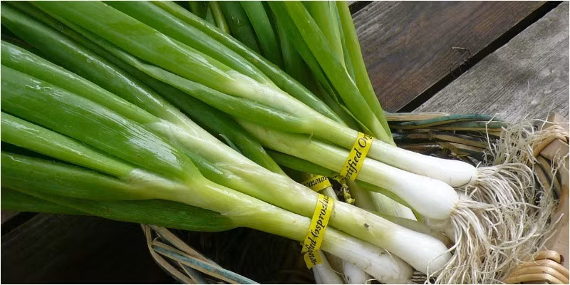 Đặc biệt trong thời tiết lạnh, hành có tác dụng tránh nhiễm trùng, giảm sốt và đổ mồ hôi ra cảm lạnh, trị cúm rất tốt. Ảnh: tgdd.