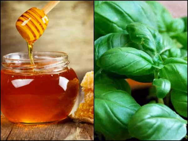  Húng quế: Đây là loại rau thơm có khả năng tiêu diệt mầm bệnh gây ngộ độc thực phẩm nhờ chứa các chất chống vi sinh vật. Húng quế cũng giúp làm dịu dạ dày và giảm các triệu chứng ngộ độc thực phẩm. Nghiền một vài lá húng quế để lấy 1 thìa cà phê nước ép trộn 1 thìa cà phê mật ong rồi uống. Thực hiện cách này 3-4 lần mỗi ngày.