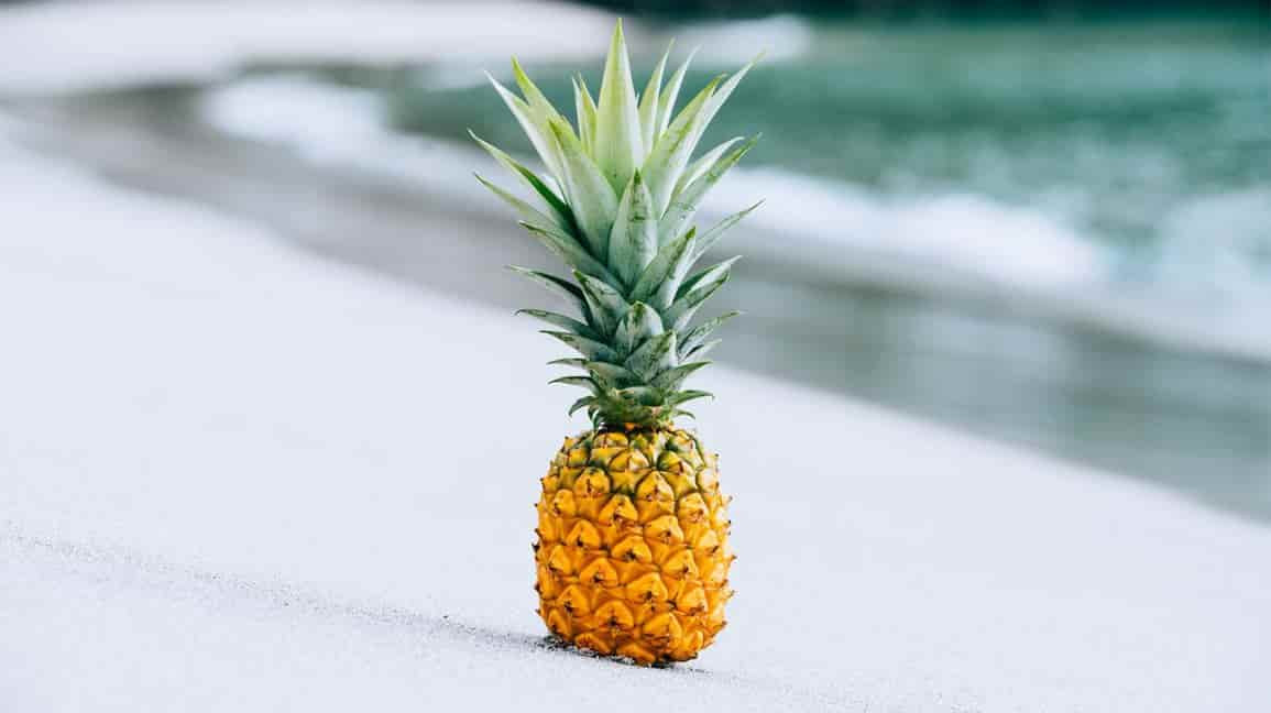 Bạn có thể áp dụng cách làm tan sỏi thận bằng cách hấp cách thủy dứa cùng phèn chua trong khoảng 3 giờ, ăn cả quả và phần nước trong 7 ngày liên tiếp. Ảnh: hhlcs.