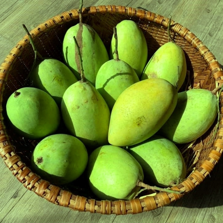 Bạn cũng không được sử dụng xoài cùng với rượu. Ảnh: ajumagarden.