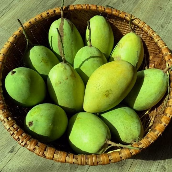 Bạn cũng không được sử dụng xoài cùng với rượu. Ảnh: ajumagarden.