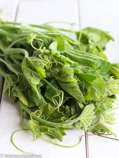 Rau bí còn được nhiều bác sĩ sử dụng để phòng chống và điều trị co giật trong nhiều năm nay. Ảnh: pinimg.