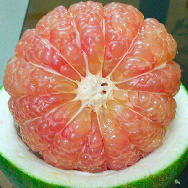  1. Bưởi: Bưởi giàu vitamin C và chất xơ nên giúp giảm cân hiệu quả. Một nghiên cứu đã cho thấy người ăn nửa quả bưởi trước bữa ăn giảm cân nhanh hơn. Bưởi cũng giúp làm giảm kháng insulin, ổn định huyết áp và giúp giảm viêm. Bạn nên ăn nửa quả bưởi vào bữa sáng và nửa quả vào trước bữa trưa. 