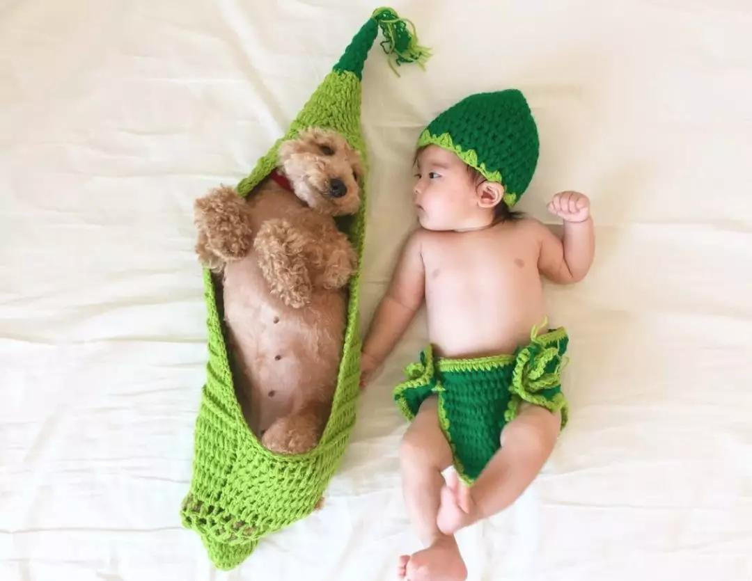 Bà mẹ Mie còn chú ý việc cho hai bạn ăn mặc ton sur ton, khiến các bức ảnh em bé và cún con càng thêm ngộ nghĩnh.