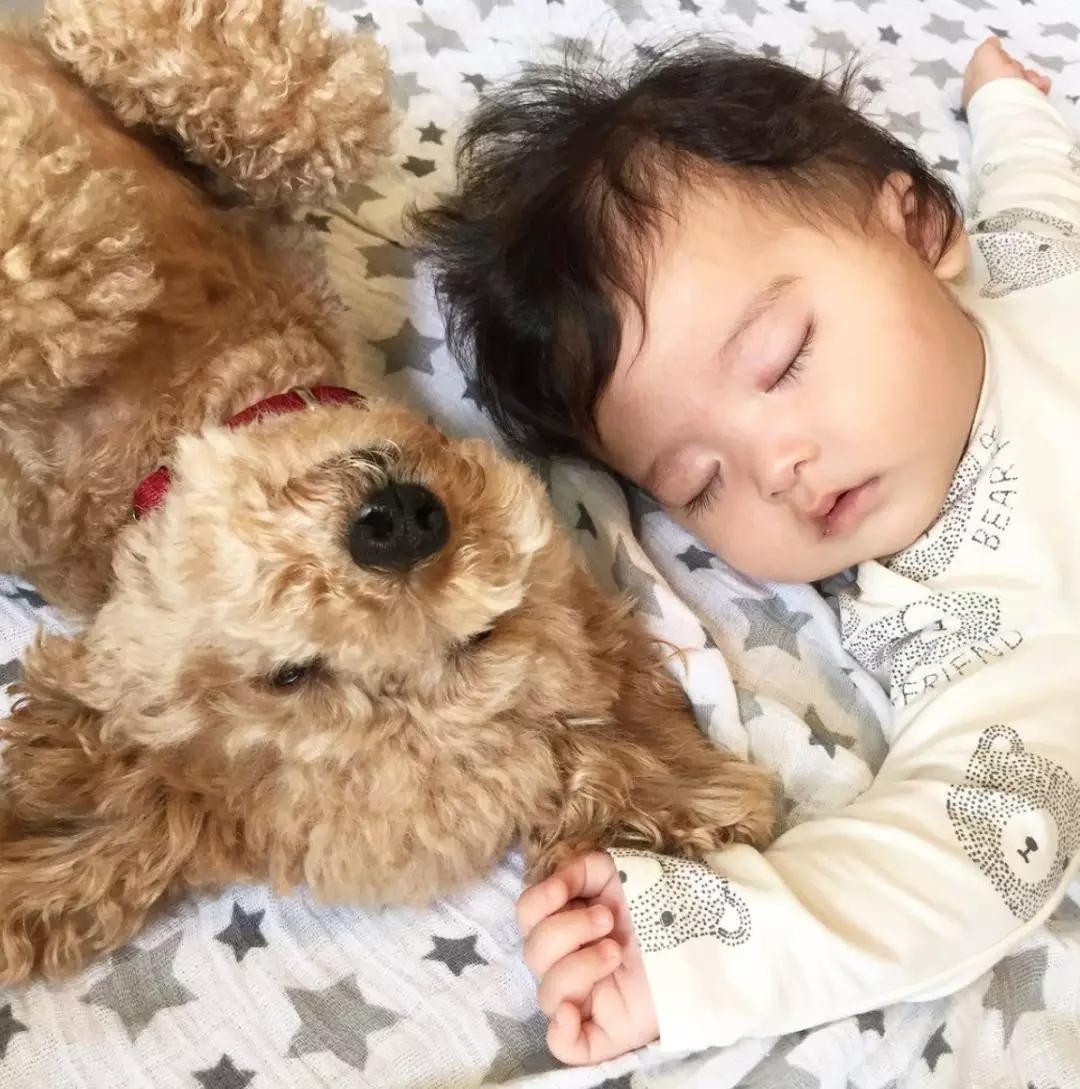 Nhưng có lẽ đáng yêu nhất là những khoảnh khắc em bé và cún con say sưa ngủ bên nhau.
