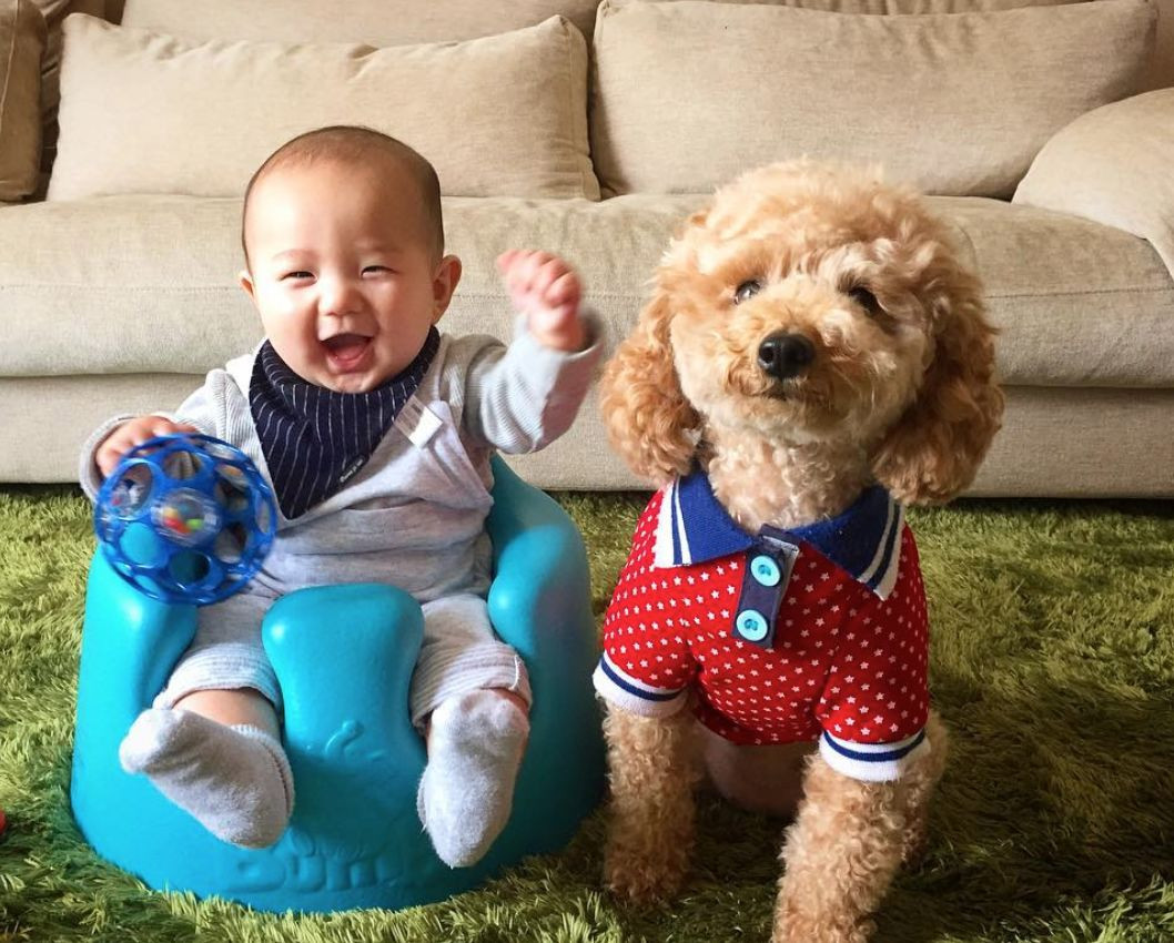 Thế nhưng có lẽ từ khi sinh con, những hình ảnh con và cún cưng của bà mẹ Nhật mới thực sự gây chú ý.