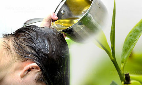 Co “than duoc” nay trong nha ban se khong bao gio bi rung toc