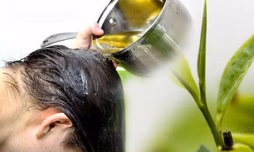 Co “than duoc” nay trong nha ban se khong bao gio bi rung toc