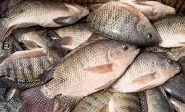 La ky 8 cai chet oai am nhat lich su nhan loai