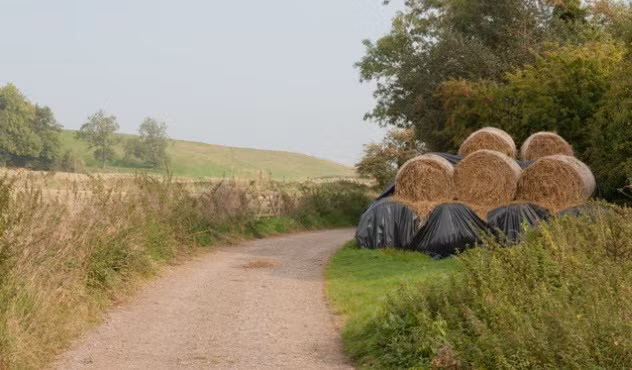 Năm 2010, nghệ sĩ cello Mike Edwards qua đời do gặp phải tai nạn. Nguyên nhân dẫn đến cái chết vô lý của nghệ sĩ Edwards là do chiếc xe tải của ông bị đè nát bởi kiện cỏ khô nặng gần 320 kg.