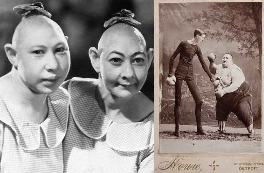 Vào thời xưa, những người khuyết tật và dị tật bẩm sinh thường là một phần của các chương trình biểu diễn mua vui. Nhiều khán giả cảm thấy thích thú khi nhìn thấy ngoại hình đặc biệt của họ mà không hề hay biết họ bị tổn thương như thế nào khi bị xem là thú tiêu khiển cho mọi người.