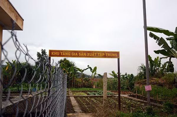 Khu vực tăng gia sản xuất của Đồn Biên phòng Cửa khẩu Quốc tế Bờ Y...