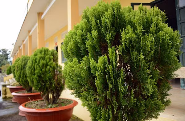 Những năm qua, cùng với việc làm tốt công tác bảo vệ an ninh biên giới quốc gia, phòng chống buôn lậu, vượt biên trái phép, giữ gìn ổn định an ninh chính trị, cán bộ, chiến sĩ đơn vị còn thực hiện tốt việc xây dựng cảnh quan, môi trường đơn vị xanh, sạch, đẹp, đảm bảo đời sống vật chất, tinh thần cho bộ đội.