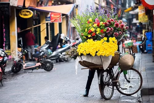 Những xe hoa hòa mình vào dòng người len lỏi đi khắp các phố phường.