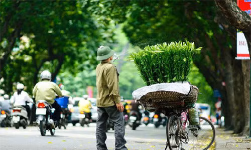Chum anh nghe muu sinh mang hoa ve pho