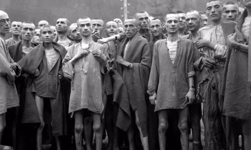 Trẻ em Do Thái thường được đưa đến các trại tập trung bằng những xe chở gia súc. Do số lượng trẻ em quá lớn so với sức chứa của xe tải nên nhiều em bị chết ngạt trước khi đến nơi. Ngay cả khi đến trại tập trung, những tù nhân "nhí" cũng bị đưa đến phòng hơi ngạt.