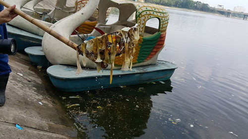 Bao cao su noi trang ho Linh Dam o Ha Noi-Hinh-2