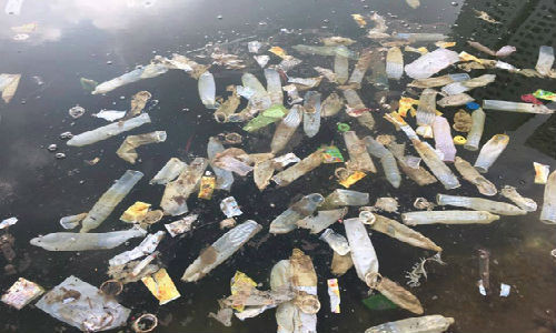 Bao cao su noi trang ho Linh Dam o Ha Noi