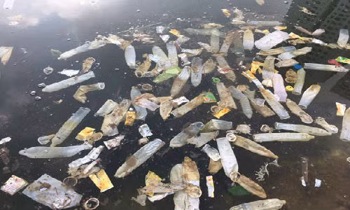 Bao cao su noi trang ho Linh Dam o Ha Noi