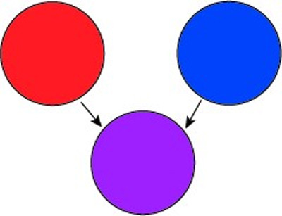 Vi sao Tong thong My dac cu Donald Trump chuong deo ca vat do?-Hinh-3