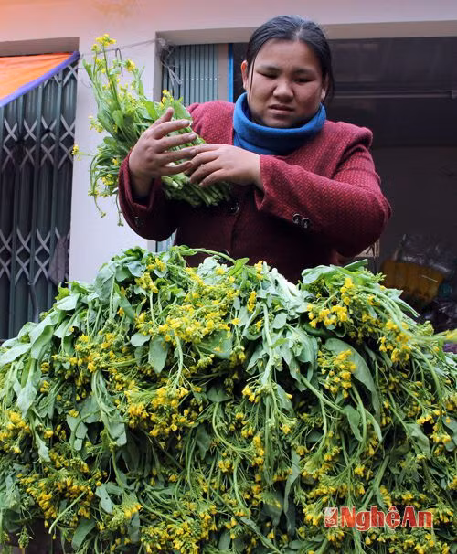 Rau cải ngồng của đồng bào Mông luôn là thứ được người dân vùng cao ưu tiên chọn lựa trong mùa đông. Loại rau do chính bà con đồng bào Mông lưu giống, trồng trên triền núi, ăn rất ngọt được nhiều khách miền xuôi tìm mua.