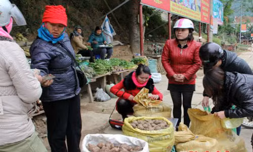 Tại trung tâm các huyện vùng cao Kỳ Sơn, Tương Dương, Quế Phong, dọc theo quốc lộ thường có những điểm chuyên bán các loại sản vật đặc trưng. Rất nhiều người miền xuôi lên công tác, hành khách qua đường ghé mua. Trong ảnh là điểm bán khoai sọ ở thị trấn Mường Xén (Kỳ Sơn).
