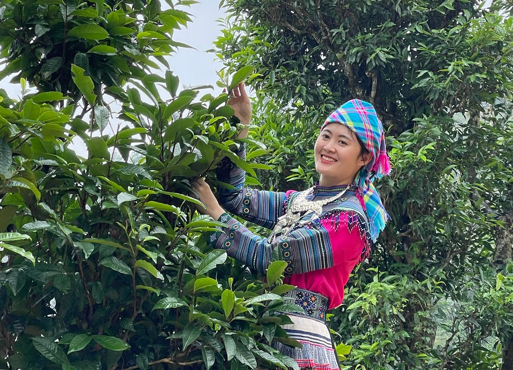 3 pham tra thuong hang cua Viet Nam-Hinh-4