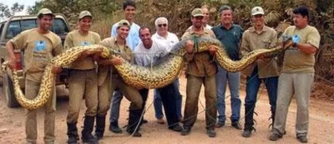 Nhung loi ke ve ran ho may mien Tay, chi nghe da hai...-Hinh-2