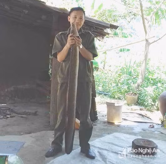 Con cá chình dài 1,3m, nặng 6 kg. Ảnh Bé Vinh