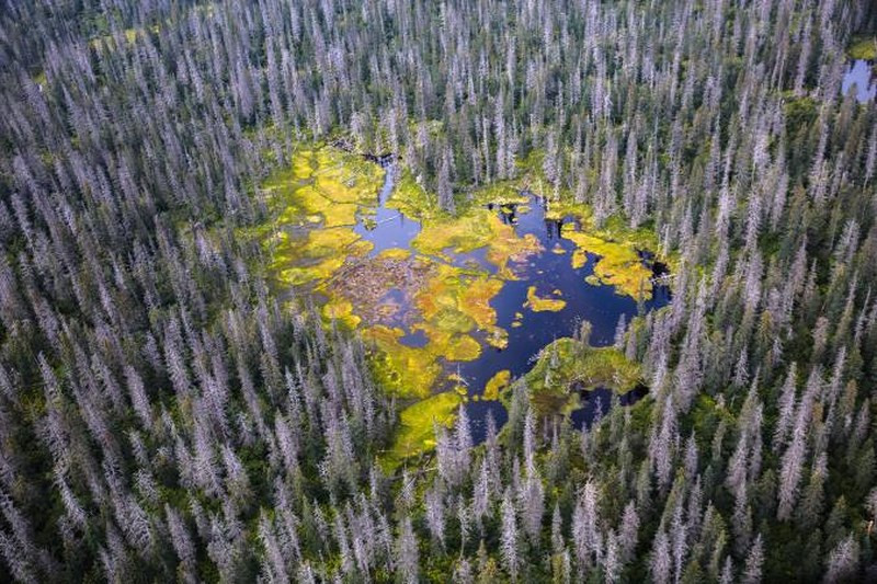 Hồ nước hình trái tim trong Công viên quốc gia Katmai ở Alaska