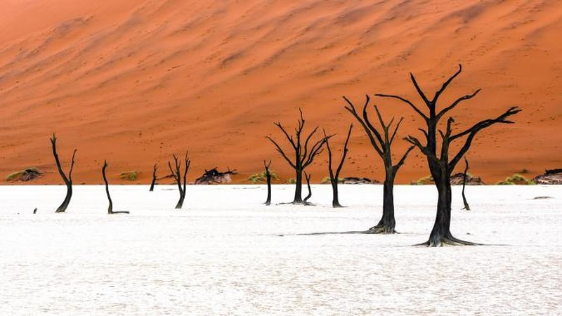 Deadvlei là một chảo đất sét trắng bao quanh bởi những cồn cát lớn nhất trên thế giới, một số cao tới 350 mét, thuộc Công viên Namib-Naukluft ở Namibia. Nằm rải rác trên bề mặt của chảo là rất nhiều cây gai lạc đà chết khô, một số được cho là 600-700 tuổi.