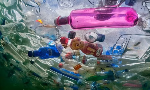 Để nâng cao ý thức bảo vệ môi trường toàn cầu, một nhóm sưu tập nghệ thuật có tên Luzinterruptus đã dành nhiều công sức thu thập 60.000 vỏ chai nhựa bị vứt đi để đặt vào 3 đài phun nước ở thủ đô Madrid, Tây Ban Nha.