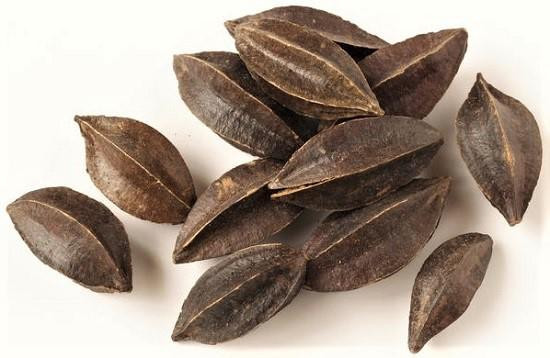 Trước khi gieo hạt, nên ngâm trong nước ấm khoảng 6 giờ.