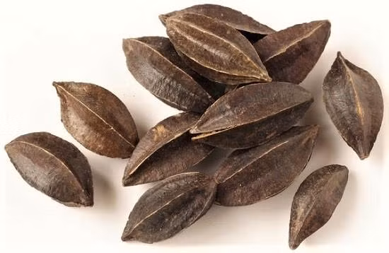 Trước khi gieo hạt, nên ngâm trong nước ấm khoảng 6 giờ.