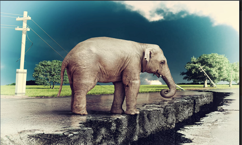 Liệu voi và các loài vật khác có khả năng dự báo động đất? Ảnh: Live Science