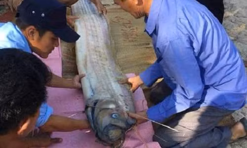 Người dân tiến hành chôn cất theo phong tục địa phương.