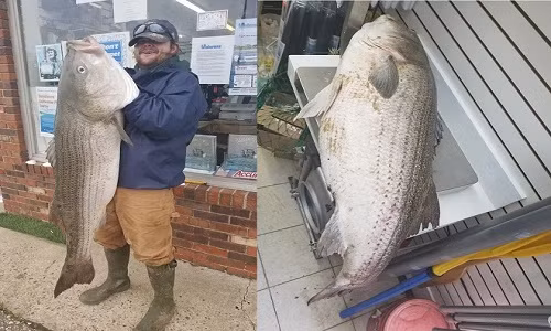 John Callahan bắt được con cá trong chuyến đi câu chủ nhật tuần trước